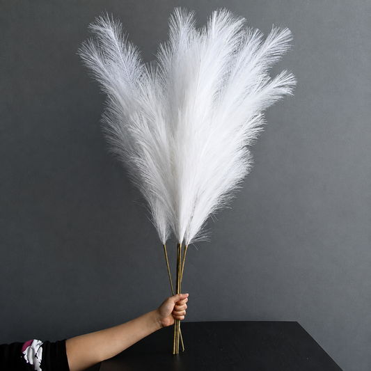 Pampas Grass Bundle – 4 Stems