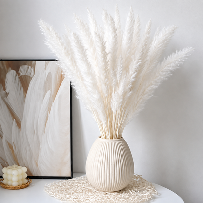 Pampas Grass Bundle – 4 Stems